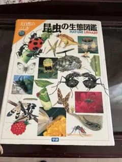 2026年最新】大自然のふしぎの人気アイテム - メルカリ