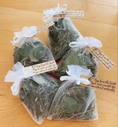 Item thumbnail for item 0b4e1949-8dec-4abe-aef9-d648526b7ea7