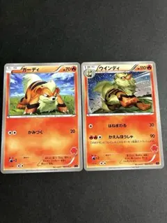 ウインディ XYE 対戦スタートセット30 エンブオーEX VSトゲキッスEX