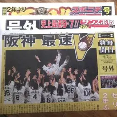 阪神タイガース 優勝記念新聞 号外 3種セット
