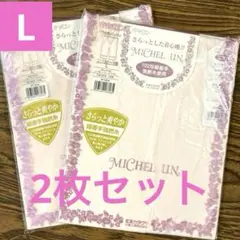 ⭐️新品⭐️ キャロン高級インナー　ミッシェルアン　７分長　L２枚　セットのサムネイル