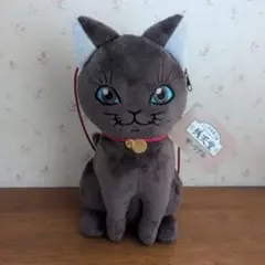 Item thumbnail for item 260c9b0e-76cc-443a-9dbe-e3df71787a5f