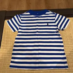 POLO ラルフローレン　青と白のストライプ Tシャツ 100