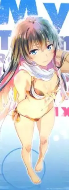 雪ノ下雪乃 ロングタペストリー 水着マフラーver. 俺ガイル くじメイト