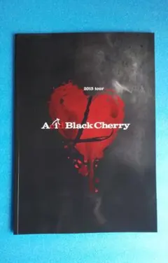 Acid Black Cherry 写真集　美品 Acid Black Cherry写真集