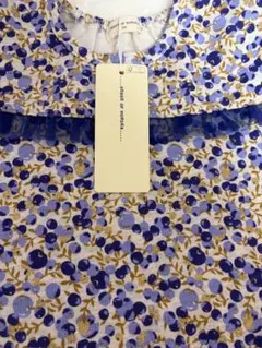 Item thumbnail for item 0a96007d-56e5-44e1-83ef-58c50e86b239