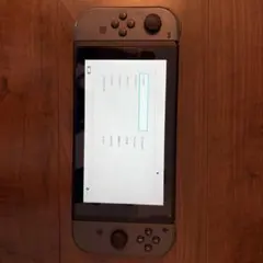 Nintendo Switch グレー 本体