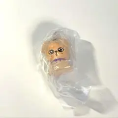 Stray Kids SKZOO ガチャ めじるしアクセサリー パピーム