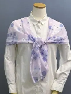 Item thumbnail for item 18f75f8d-13cc-4656-a5e4-0f2f32d3583d