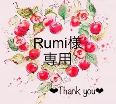 Rumi様専用　熊さんのチョコレートショップ(14CT、90色、図案印刷あり)