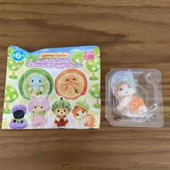 5☆シルバニアファミリー☆どきどきコレクション 赤ちゃんフルーツパーティ2