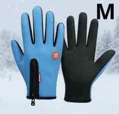 Item thumbnail for item 0daadb28-9aa3-48d6-b28c-3f83e612d55d