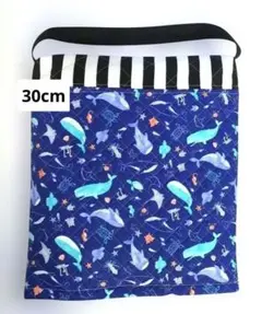 Item thumbnail for item 88164881-1228-49d4-a5fe-448c8f7874c9