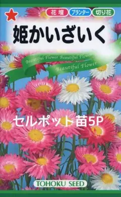 どっと てんてん様 リクエスト 5点 まとめ商品