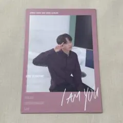 Stray Kids リノ ポラロイド シーグリ スキズ シーグリ 2023 特典 ポラロイド リノ - メルカリ
