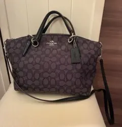 COACH　ハンドバッグ　ショルダーバッグ　シグネチャー　ブラック　モノグラム