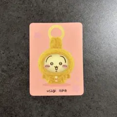 miniso 우사기 카드