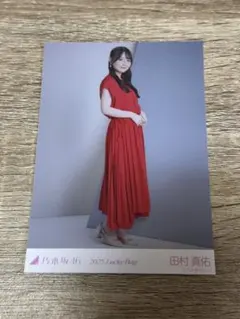乃木坂46 生写真 lucky bag 2025 田村真佑　ヒキ