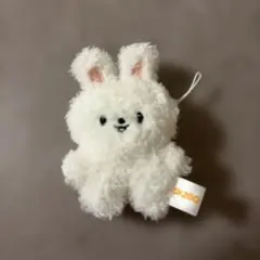 SKZOO Leebit