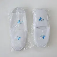 Item thumbnail for item 85409c4a-8b83-4b3e-8425-3aa41aac8893