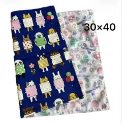 Item thumbnail for item c9876587-ec6f-4100-a0e9-8dfc79602c00