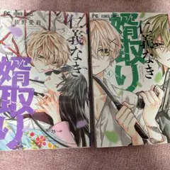 囚われ 4巻 5巻 セット 佐野愛莉