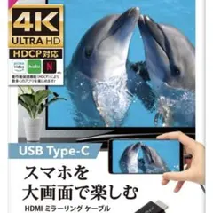 ミラーリングケーブルUSB Type-C HDMIケーブル 4K 3m