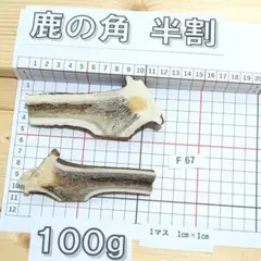 鹿の角 半割 F67 100g 兵庫県産 鹿角 鹿のツノ しかつののサムネイル