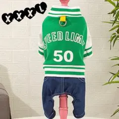 Item thumbnail for item 04b0fb3a-8a72-4a83-bcb6-a97f383eb0f1