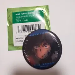 鬼滅の刃 ものがたる眼差し 缶バッジ 冨岡義勇
