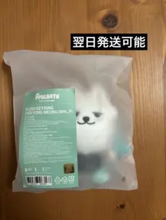 TXT スビン ヨンモン プルバトゥ キーリング おすわり