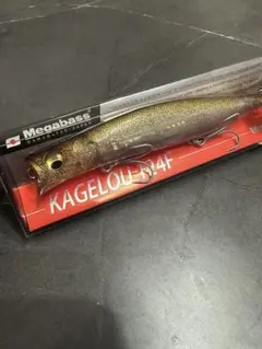 Item thumbnail for item 2d7f2238-aa7e-48bf-b74b-a861b6328a0c