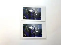 いれいす実写チェキ If