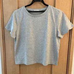 earth music&ecology 半袖Tシャツ グレー サイズF