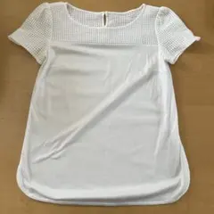 M's select 白Tシャツのサムネイル