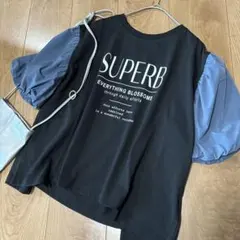 新品未使用⭐︎ ehka sopo リメイク風Tシャツ
