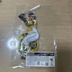 2025 JERA セリーグ優勝記念 BIGアクリルスタンド　あたり④
