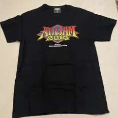 airjam 'Hi-STANDARD' Tシャツ Lサイズ Hi-STANDARD (ハイスタンダード) AIR JAM 2000 Tシャツ