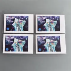 いれいす -hotoke- 実写チェキ2024