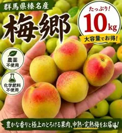 NAGOMIの小梅『yadokari』10kg NAGOMIの小梅『yadokari様専用』10kg - メルカリ