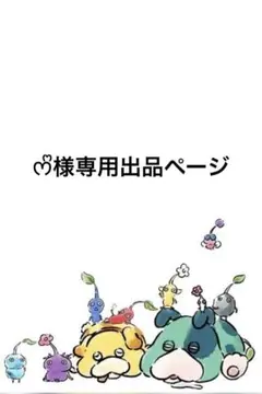 専用出品