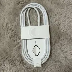 【新品未使用】Apple純正 USB-C 充電ケーブル 編み込み式 SIMピン付