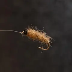 Item thumbnail for item 726ed95c-2f8e-4089-9387-4eb32cb21f56