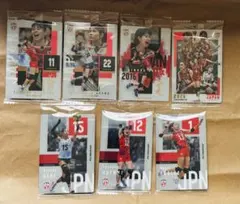 バレー日本代表 「SR全員&沙織 R山田&北窓 N和田&宮部&福留7枚セット」