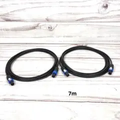 Item thumbnail for item 598ba938-8018-4741-9860-0f88a4db4932