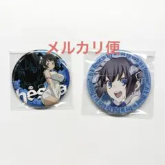 ダンまち ヘスティア オタくじ 缶バッジ ナース - メルカリ