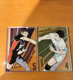 ハイキュー ステータスカードコレクション ver.2 田中龍之介 岩泉一