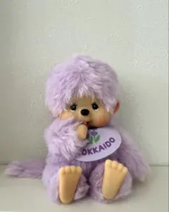 【24時間以内発送】レア☆モンチッチ北海道限定キーチェーン3点セット 24時間内発送)【北海道限定⭐️】モンチッチキーチェーン3点セット