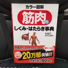 Item thumbnail for item ca372ef1-8ede-43b9-9b89-efe3c5cf52be