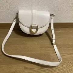CHARLES & KEITH Gabine（ガビーヌ）サドルバッグ